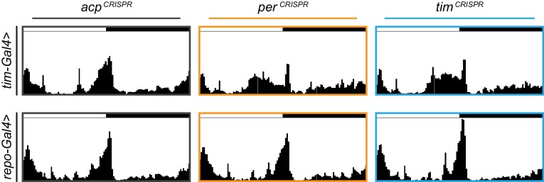 Figure 2—figure supplement 2.