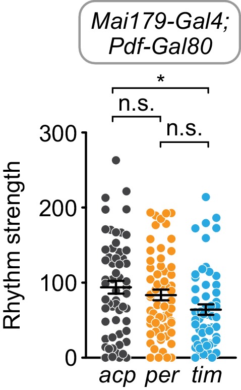 Figure 6—figure supplement 1.