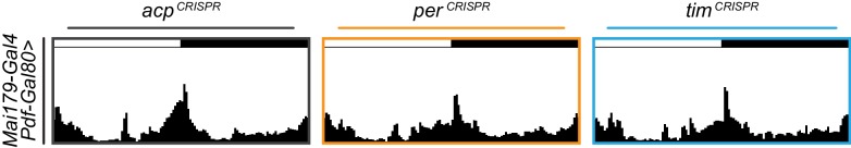 Figure 6—figure supplement 4.