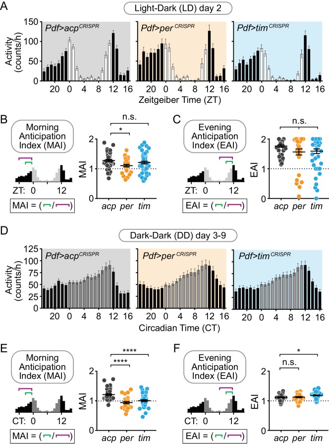 Figure 4—figure supplement 4.