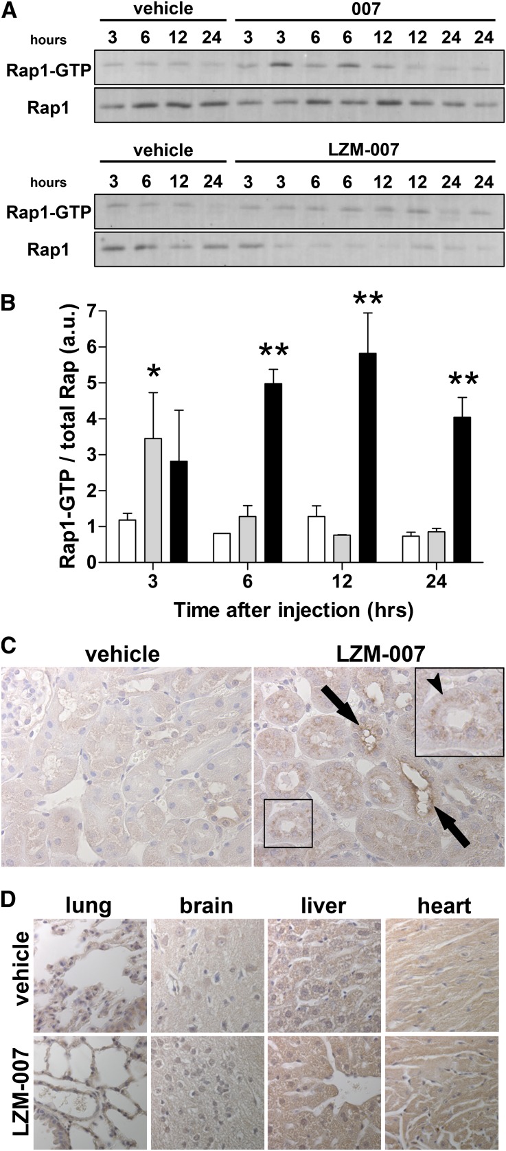 Figure 5.