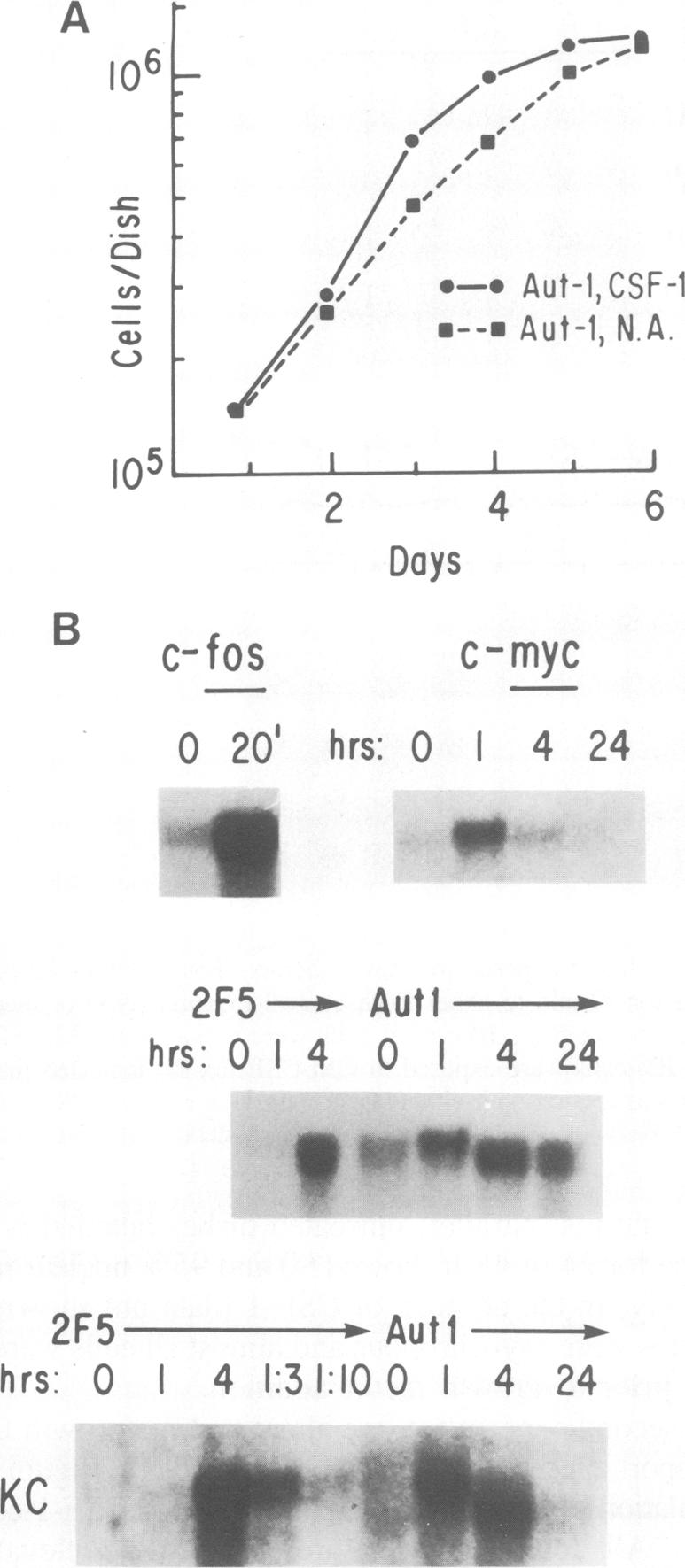 Fig. 5.