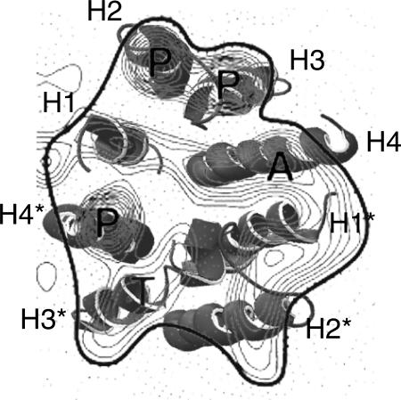 FIGURE 11