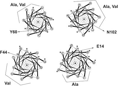 FIGURE 4