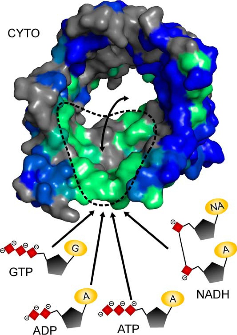 FIGURE 6.