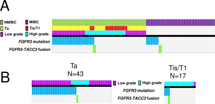 Fig 8