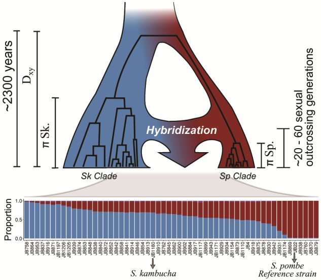 Fig. 3.