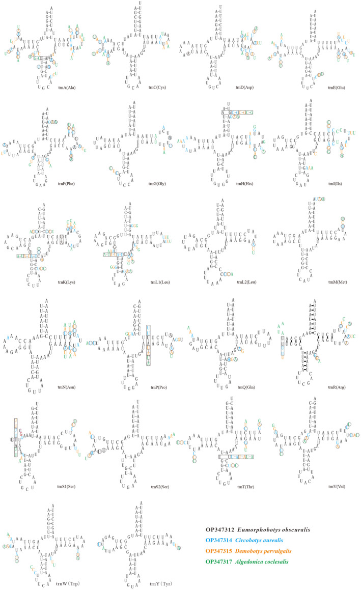 FIGURE 4