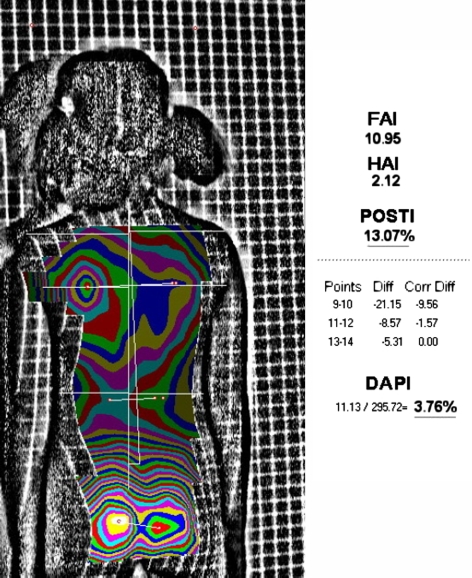 Fig. 6