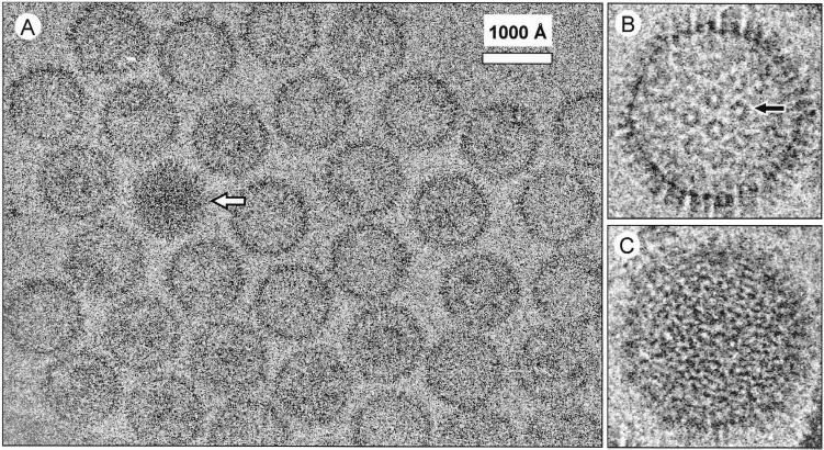 FIG. 1