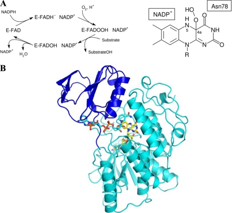 FIGURE 1.