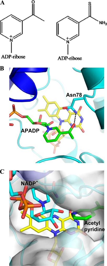 FIGURE 4.