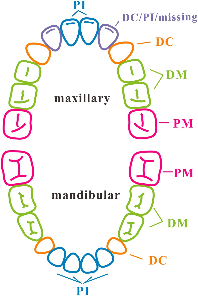 Fig 1