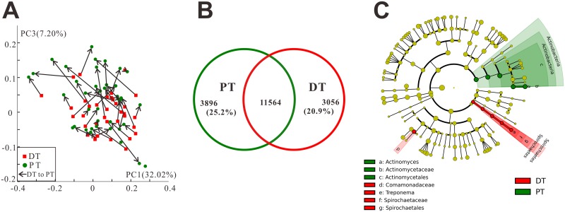 Fig 5