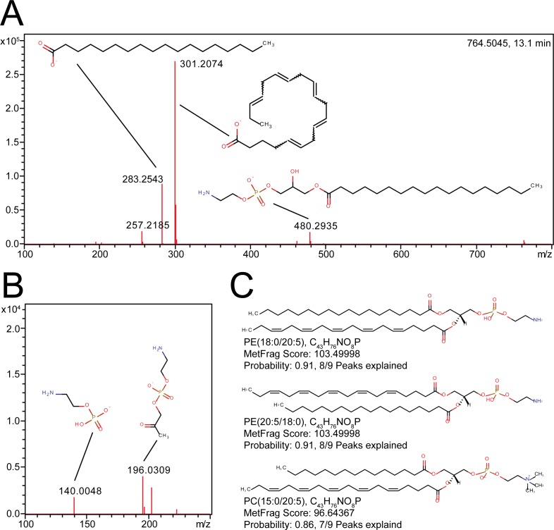 Fig 5