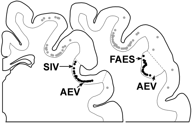 Figure 8.