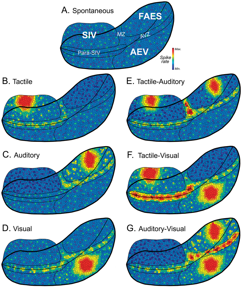 Figure 9.