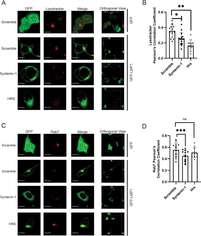 FIG 6