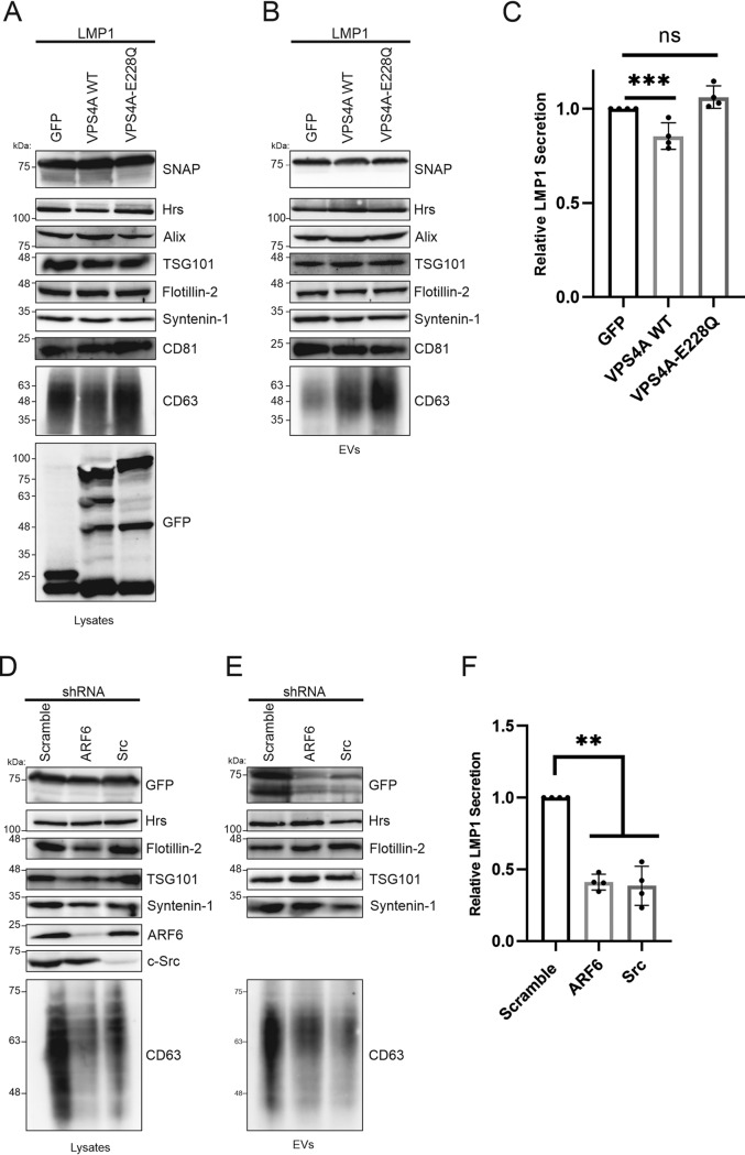 FIG 5