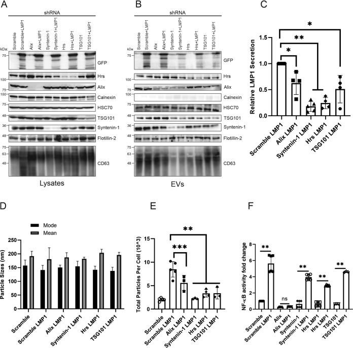 FIG 3