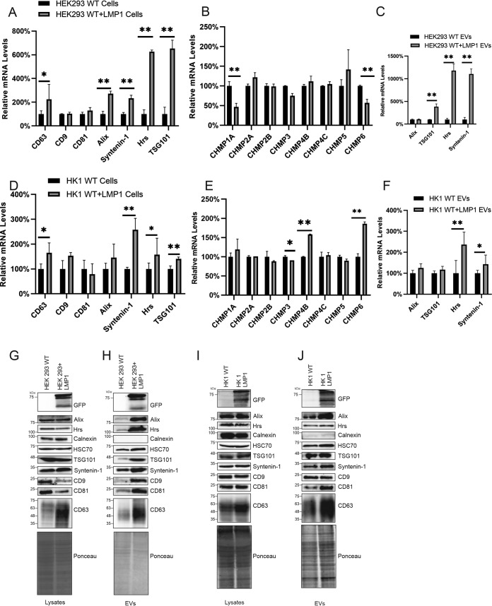 FIG 2