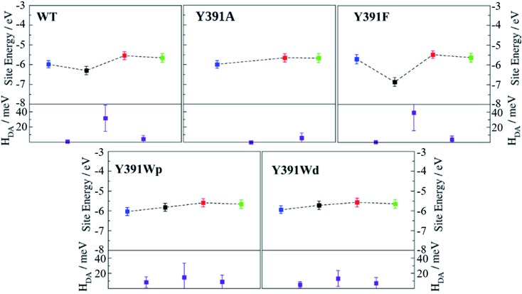 Fig. 7