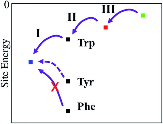 Fig. 11