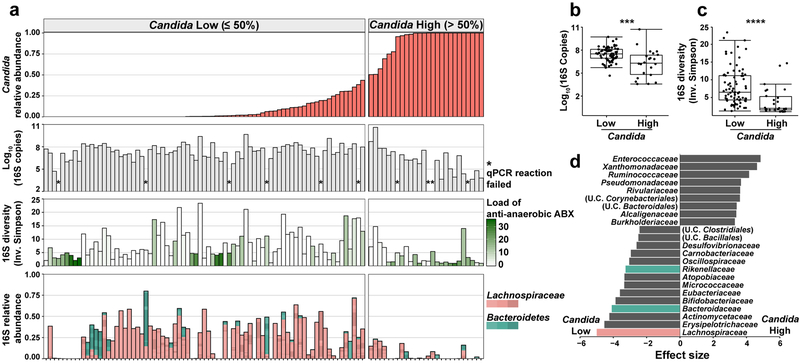 Fig. 4: