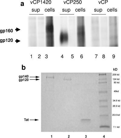 FIG.1.