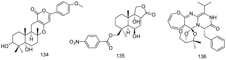 Figure 28