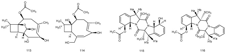 Figure 24