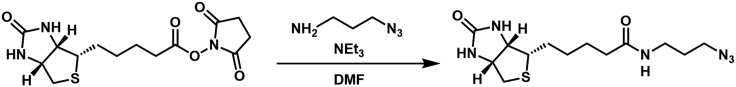 Scheme 4