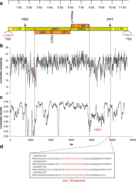 Fig. 2