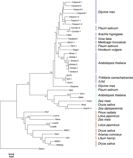 Fig. 6