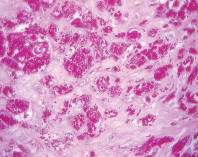 Figure 1)