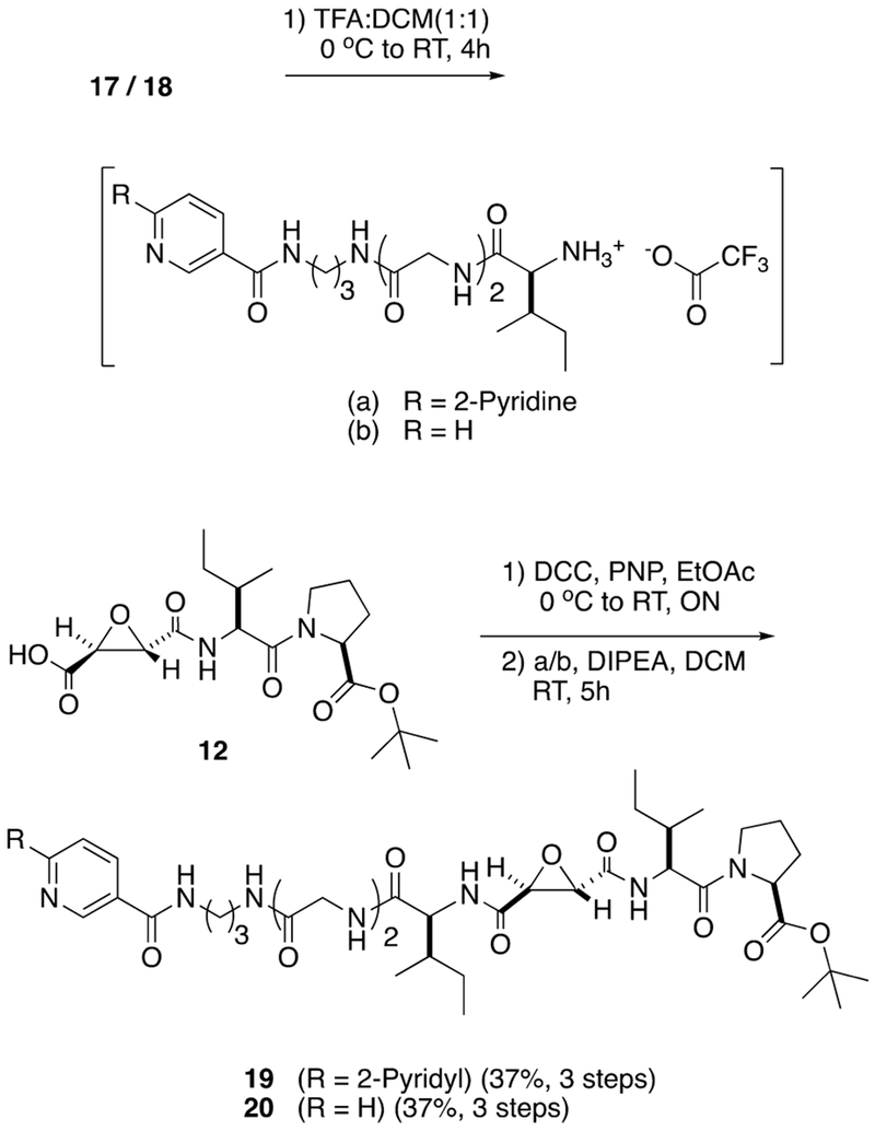 Scheme 3.