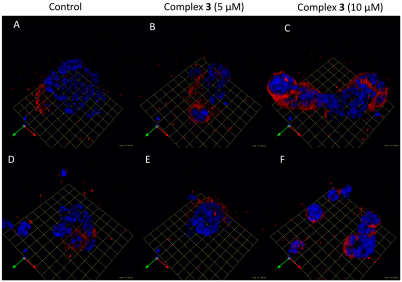 Figure 13.