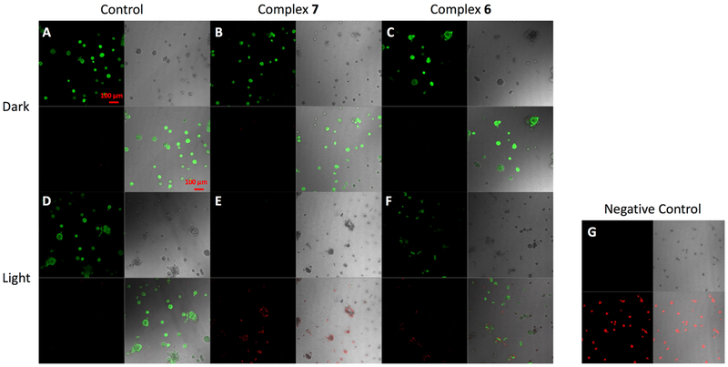 Figure 11.