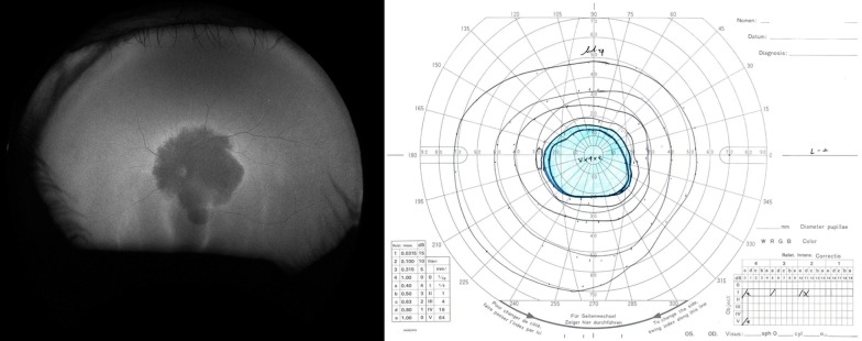 Fig. 7