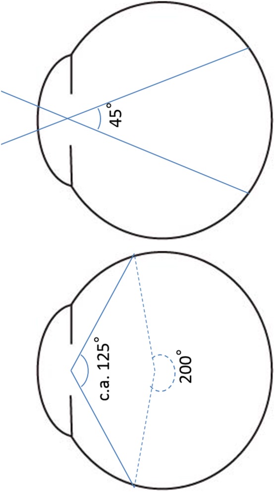 Fig. 2