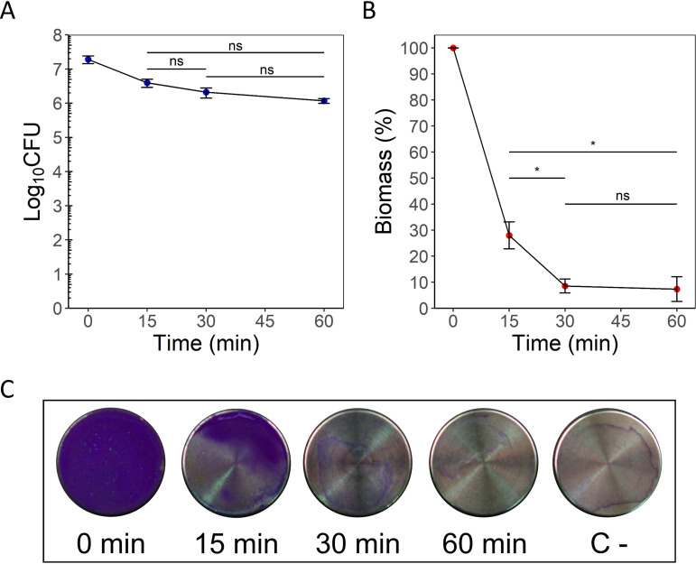 FIG 1