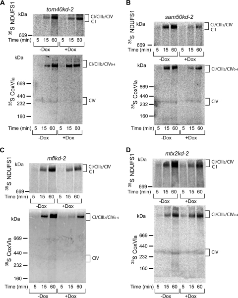 Fig 9