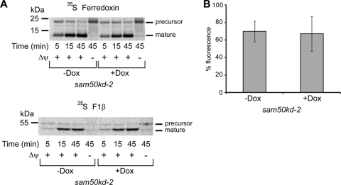 Fig 10