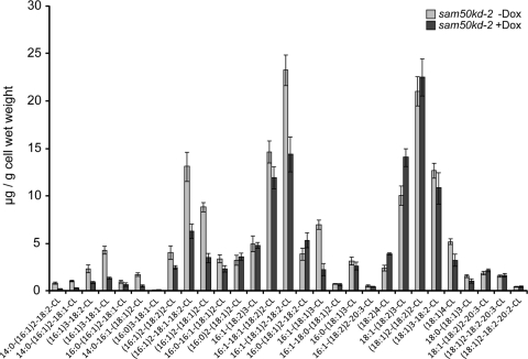 Fig 11