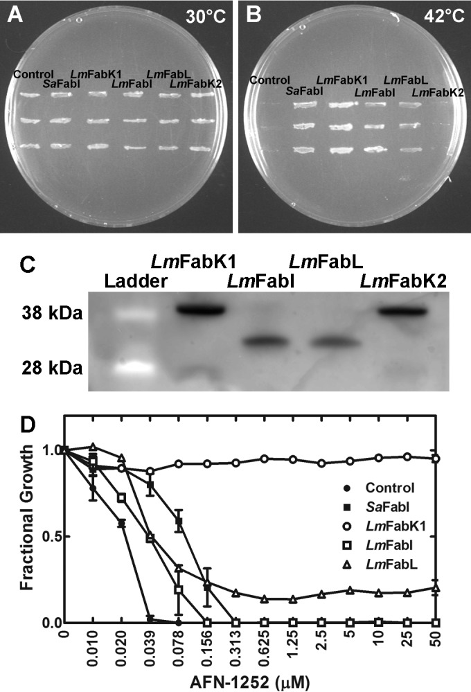 FIG 2