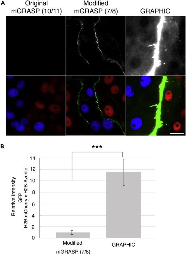 Figure 2