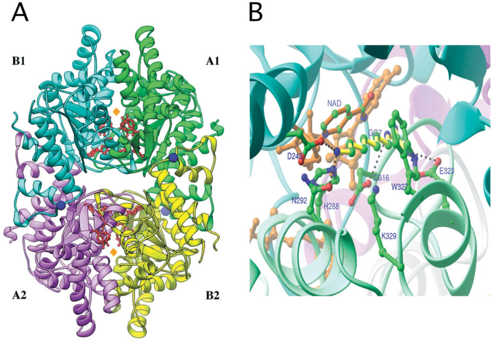 Fig. 4