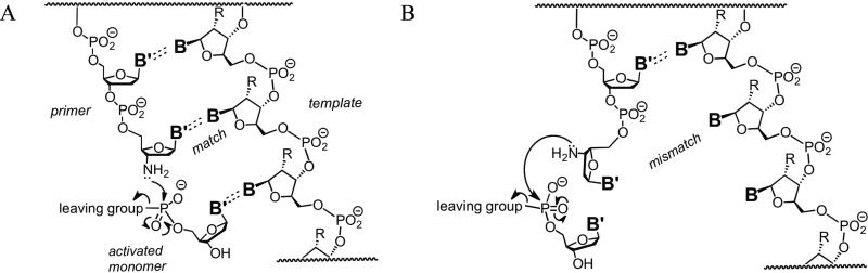 Scheme 3