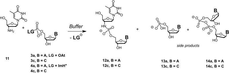 Scheme 4