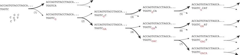 Scheme 5